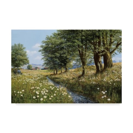 Bill Makinson 'Beeches And Daisies' Canvas Art,12x19